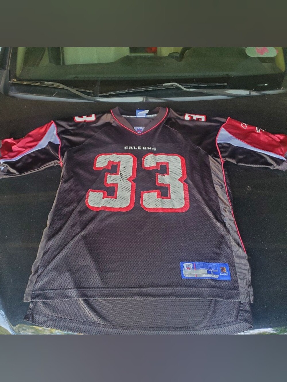 Atlanta Falcons Black Mike Turner #33 Football Jersey